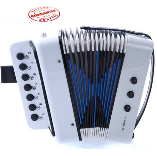 hohner toy accordion