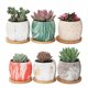 thumbnail image 3 of Bonsai Planter Pot Desktop Flower Pot Bonsai Plant Pot Small Succulent Pots Round Planter Pot, 3 of 3