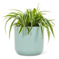 thumbnail image 2 of Classic Mint Green Planter, 2 of 4