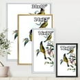 thumbnail image 4 of Designart 'Vintage Countryside Birds On Branch II' Farmhouse Framed Canvas Wall Art Print, 4 of 5