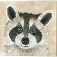thumbnail image 4 of Great Art Now Freckles the Fox, Willow the Owl & Roxie the Raccoon by Cindy Jacobs 3 Piece Canvas Art Set Each 14"W x 14"H, 4 of 4