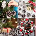 thumbnail image 5 of Piñas de pino naturales ZHAOCHENG 12 piezas decoración de Navidad 4-5 cm, 5 of 5