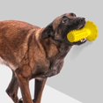 thumbnail image 4 of Dog Toothbrush Dog Teeth Cleaning Chewing with Suction Cup Durable Natural Rubber Care for Large/Medium/Small Dogs (Color : Green), 4 of 8