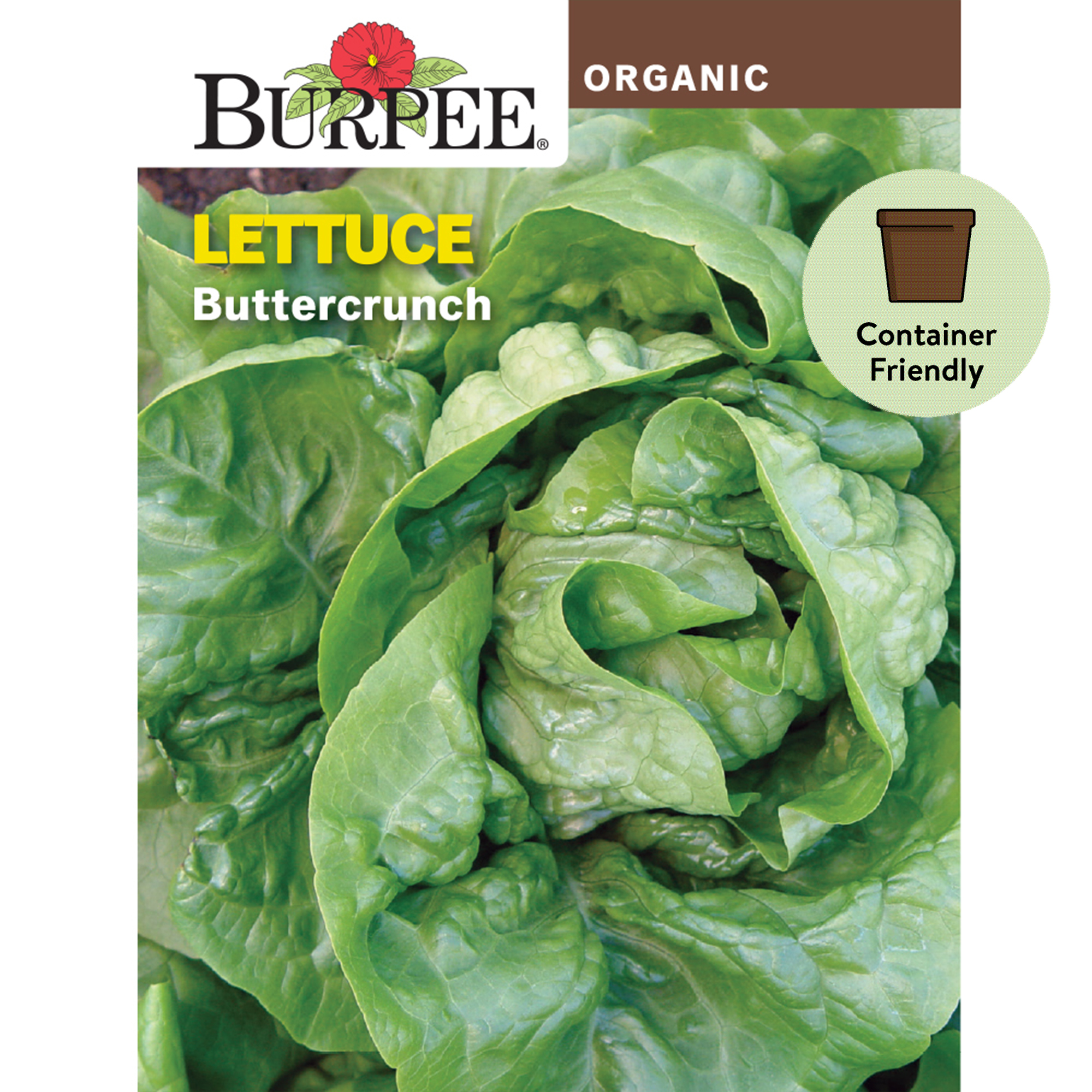 Burpee Organics Buttercrunch Lettuce Seeds NonGMO, ContainerFriendly, Organic Vegetable