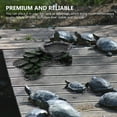 Turtle Accessories for Ground Turtles Desktop Platform Basking Aquatic