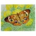 thumbnail image 1 of Betsy Drake PM763 Papillon Papillon Tapis de Place - Lot de 4, 1 of 1
