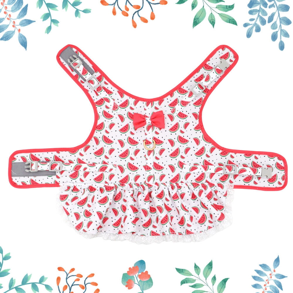 Didog Female Dog Harness Dress and Leash Fancy Small Pet Cat Summer Vest Clothes Yorkie