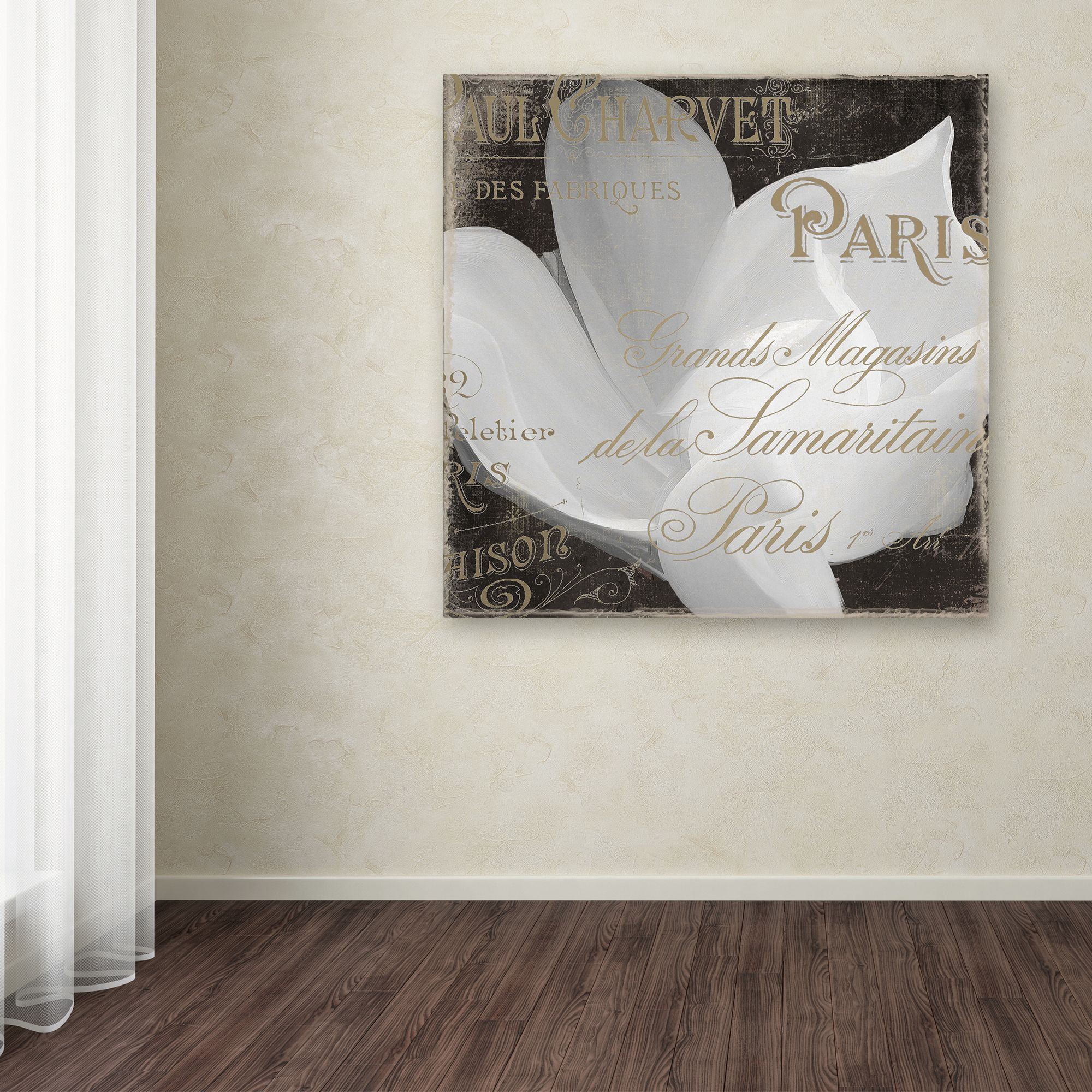 Trademark Fine Art "Fleurs Blanc II" Canvas Art by Color Bakery