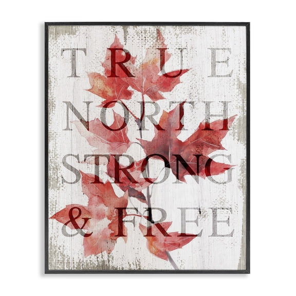 Stupell Industries Farmhouse True North Strong & Free Black Framed Giclee Art, 11 x 14, by Lil' Rue