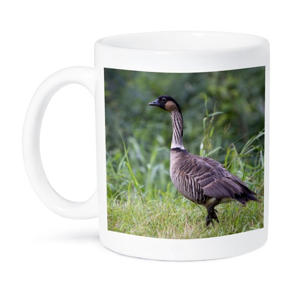 3dRose, Nene Hawaiian Goose, bird, Kauai, Hawaii, USA - US12 DFR0128 - David R. Frazier, 11oz Mug