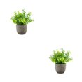 thumbnail image 3 of Decodeary Green Eco-friendly Artificial Money Tree In Pot Long-lasting Durability Realistic Appearance blue babysbreath 2Set, 3 of 6