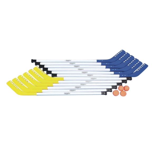 S&S Worldwide Spectrum Middle School Tough Floor Hockey Set. 12 Player Set Includes 12 - 43" Long Sticks, 2 Soft Vinyl Hockey Pucks and 2 Soft Hockey Balls. Recommended for Ages 9 to 14.