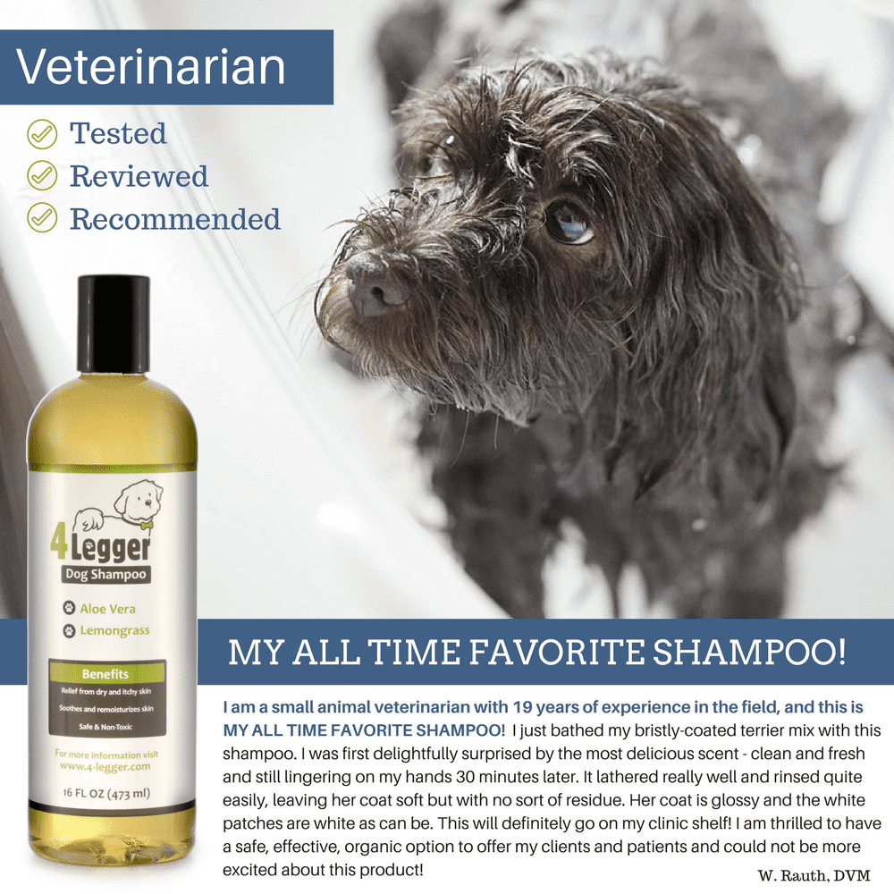 4 legger dog shampoo near clearance me