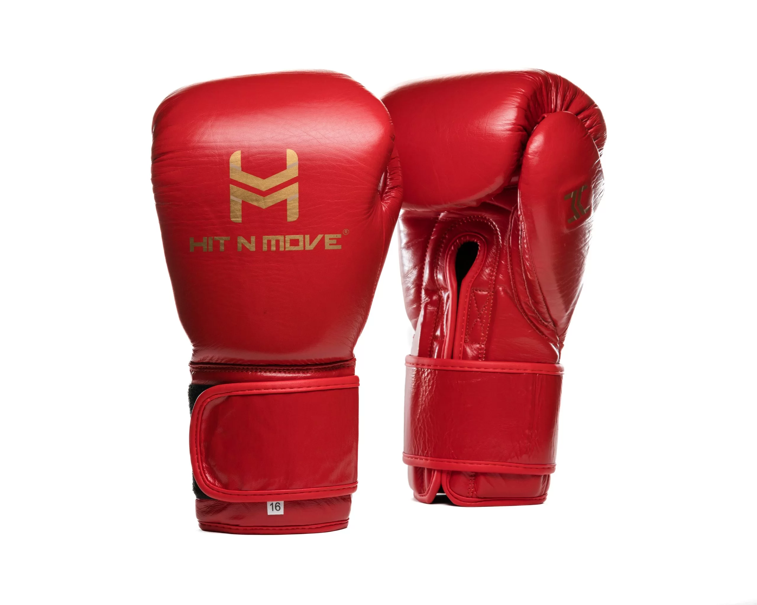 Hit N Move Boxing Gloves All Day Pro Balance Hook and Loop