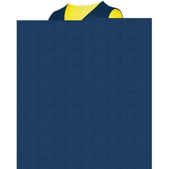 Augusta Youth Tricot Mesh Reversible 2.0 Jersey 162 Navy/Gold L