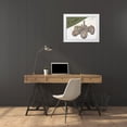 thumbnail image 3 of Phillip, Jamie 14x12 White Modern Wood Framed Museum Art Print Titled - Organic Farm, 3 of 4