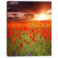 thumbnail image 2 of Wild Poppy Flowers At Cloudy Sunset - Large Flower Canvas Art Print, 2 of 3