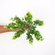 thumbnail image 2 of Bearachild Flores artificiales colgantes de pared de plantas de plástico para exteriores, tamaño compacto, ahorro de espacio funcional, decoración del Decoración Verde Bearachild HA070461-01, 2 of 6