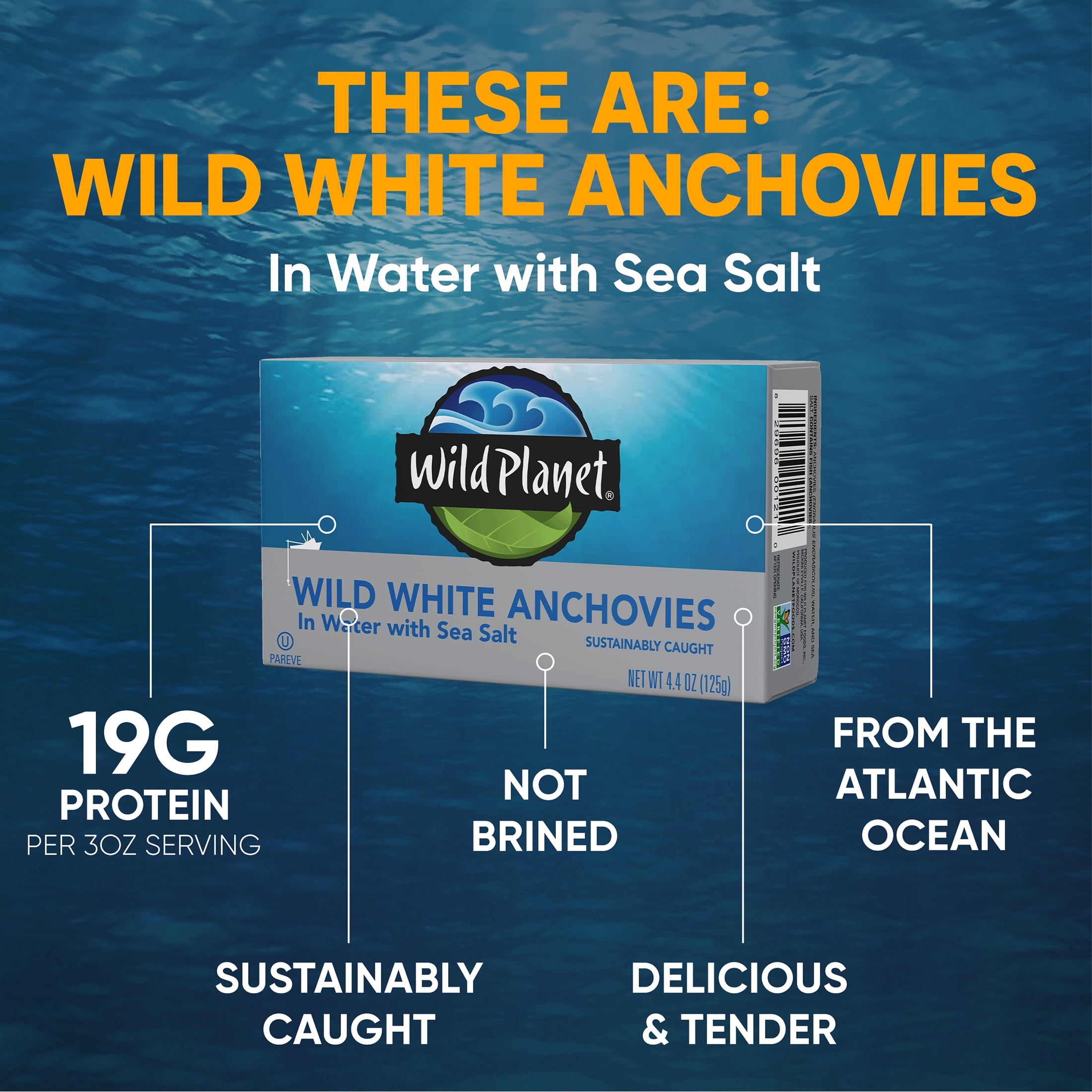 (6 pack) Wild Planet Wild Caught White Anchovies in Water with Sea Salt, 4.4 oz Can