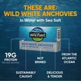 thumbnail image 3 of (6 pack) Wild Planet Wild Caught White Anchovies in Water with Sea Salt, 4.4 oz Can, 3 of 9