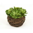 thumbnail image 1 of Distinctive Designs International 2765 Poule Artificielle et Succulentes Chics dans un Panier Rond en Corde d'Abaca, 1 of 1