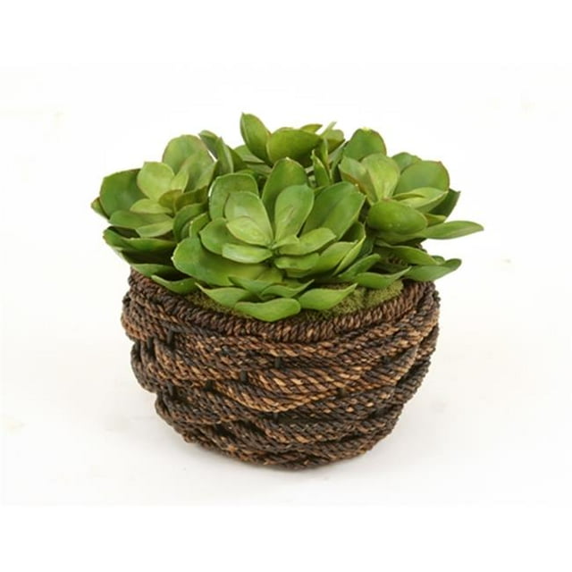 Distinctive Designs International 2765 Poule Artificielle et Succulentes Chics dans un Panier Rond en Corde d'Abaca
