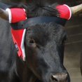 thumbnail image 3 of Nrs-Professional's Choice Extreme Horn Wrap, 3 of 4