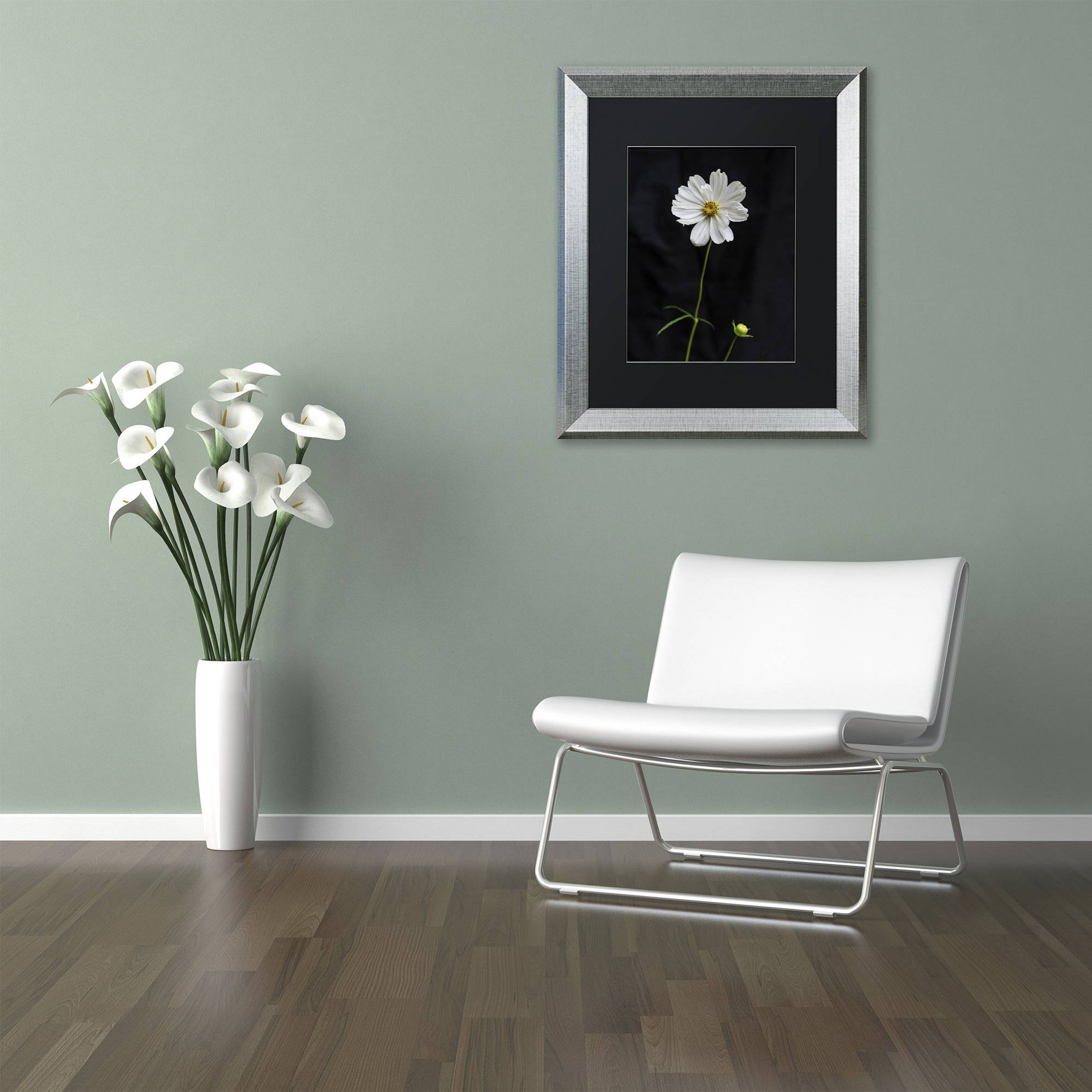 Trademark Fine Art "White Cosmos on Black" Canvas Art by Kurt Shaffer, Black Matte, Silver Frame