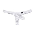 thumbnail image 1 of Tanga de hombre de seda fina de hielo, pantalones de hombre, ropa interior sexy para hombre, 1 of 6