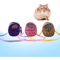 thumbnail image 2 of Three Size Small Pets Carrier Bag Hedgehog Hamster Mouse Outgoing Bags Leopard Portable Travel Backpack with Strap, Pink-M, 2 of 4