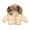 Yellow, variant on LYMAYTER Boys Girls Cute Hoodie Jacket for Kids Baby Fall Winter Coat Toddler Fleece Outerwear for 1-8 Years