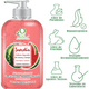 thumbnail image 2 of Jabón Líquido Antibacterial VivoNatural para Manos y Cuerpo 480 ml aroma Sandía con extracto de Aloe Vera, 2 of 3