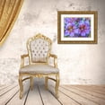 thumbnail image 3 of Gulin, Sylvia 24x19 Gold Ornate Wood Framed with Double Matting Museum Art Print Titled - Washington State-Sammamish-Painted tongue flowering during the summer months design and pattern, 3 of 4