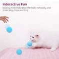 thumbnail image 4 of Pelota de juguete deportiva Little Catnip, 3 paquetes de pelotas interactivas para gatos, sonidos de animales realistas, pequeños juguetes deportivos con hierba gatera, 4 of 7