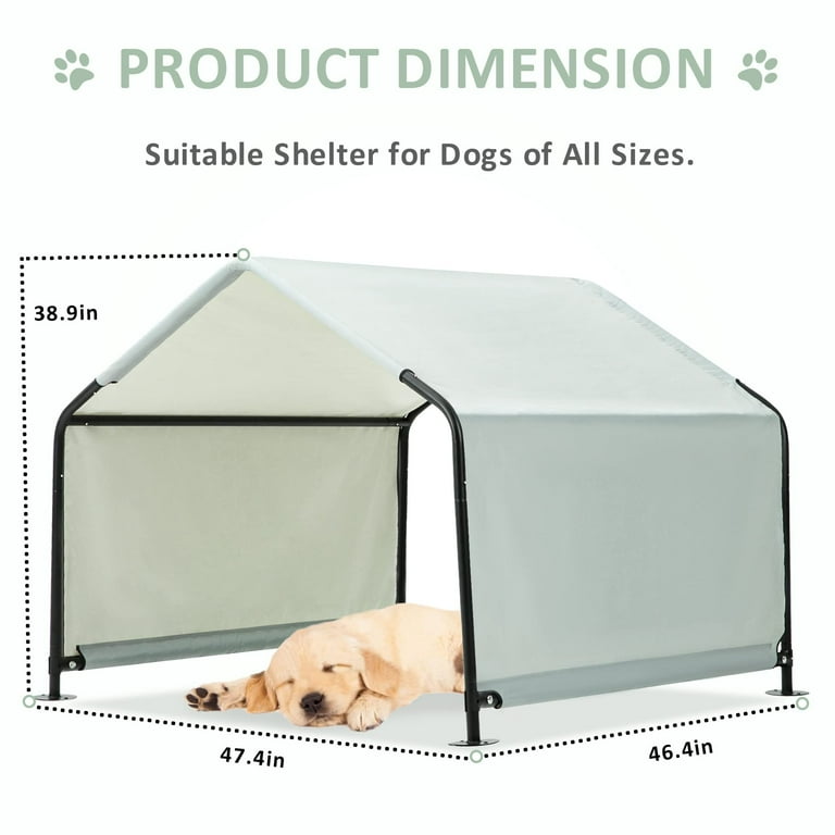 Dog store tent outdoor