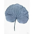 thumbnail image 3 of Stellar Design Studio 15x18 Black Modern Framed Museum Art Print Titled - Indigo Nature Study IV, 3 of 5