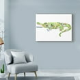 thumbnail image 3 of Trademark Fine Art 'Crocodile Collage' Canvas Art by Louise Tate, 3 of 3