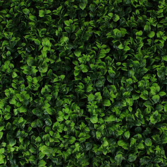 Greenery Panel 12 Pack - Indian Aster