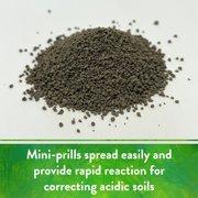 Down To Earth All Natural Fertilizers Prilled Garden Lime, 5 lb Box