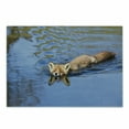 thumbnail image 1 of Fox Cutting Board, Fox Swimming in Blue River Natural Life Mammal Wild Animal Image Print, Decorative Tempered Glass Cutting and Serving Board, Small Size, Pale Blue Brown Cream, by Ambesonne, 1 of 1