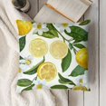 thumbnail image 3 of SHANXI Throw Pillow Covers Bright Fruit Citrus Square Pillow Cases for Decorative Cushion Bed Couch Sofa 12x12in, 3 of 5