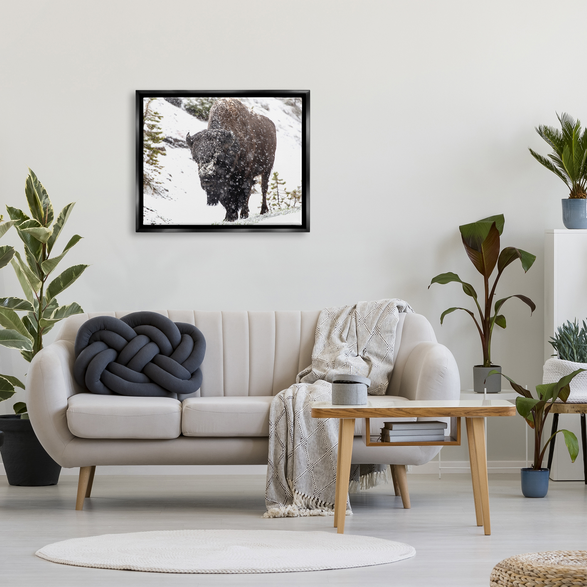 Stupell Industries Bison in Windblown Snow Animals & Insects Photography Black Floater Framed Art Print Wall Art, 31 x 25