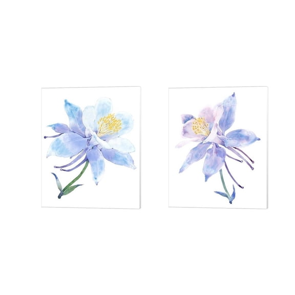 Metaverse Timothy O'Toole 'Columbine Bloom' Canvas Art (Set of 2)