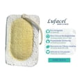 thumbnail image 3 of Luffa Frotash Body Face doble textura eco amigable, 3 of 4