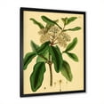 thumbnail image 2 of Designart 'Ancient Plant Life I' Traditional Framed Art Print, 2 of 4