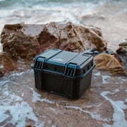 Seahorse 540 Protective Case with Foam, Black