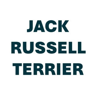 Jack Russell Terrier Pill Butter