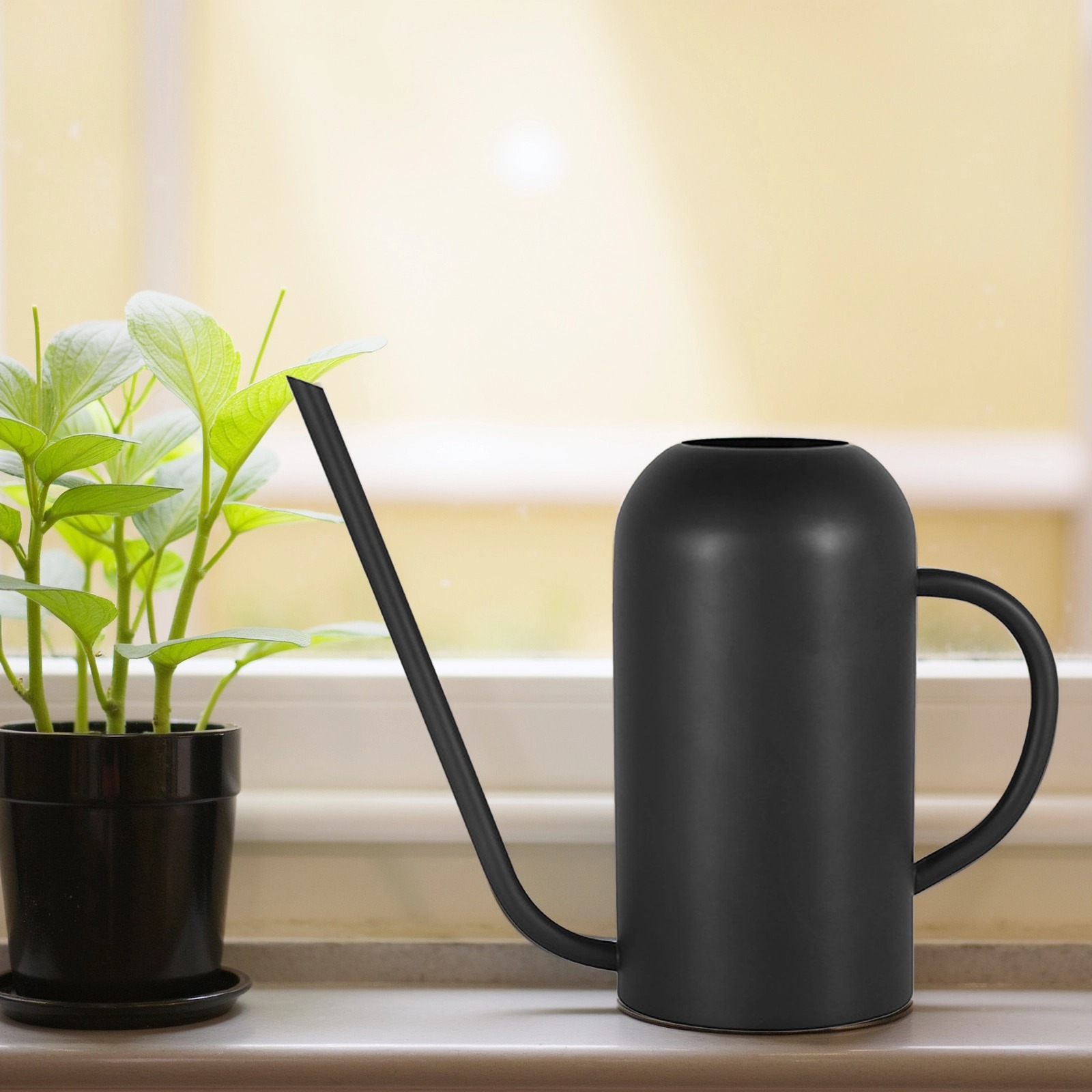 Long Spout Watering Can for Indoor Plants, 50.7 fl oz（1500 ml） Stainless Steel, Vintage Metal Design, Black Matte Finish, Precision Water Flow for Gardens and Houseplants