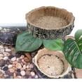 thumbnail image 2 of de es Alimentos Y Agua Esquina Suministros Tazón Zulema Reptile Food and Water Dish, 2 of 7