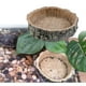 thumbnail image 2 of de Agua Y Platos de Comida para , para Mascotas, , Serpientes, , , Arañas - Colco Reptile Food and Water Dish, 2 of 7